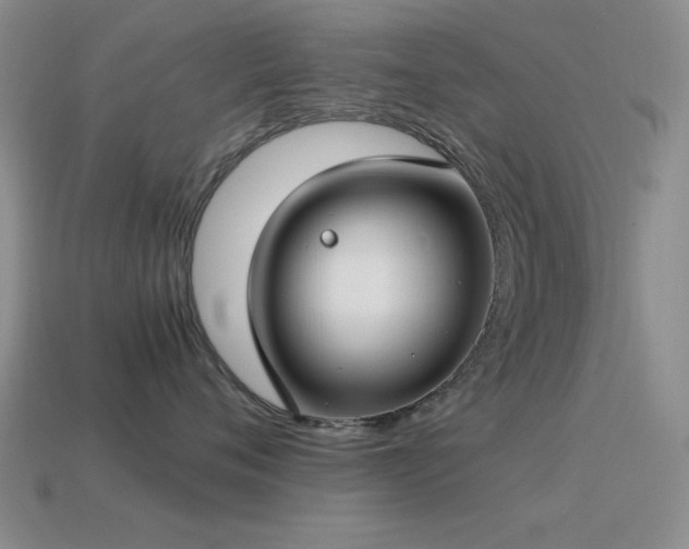 X0000115500720200911061327