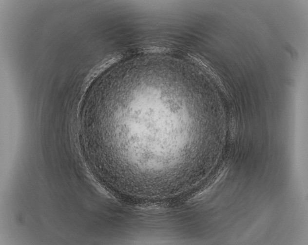 X0000115500721200911061327