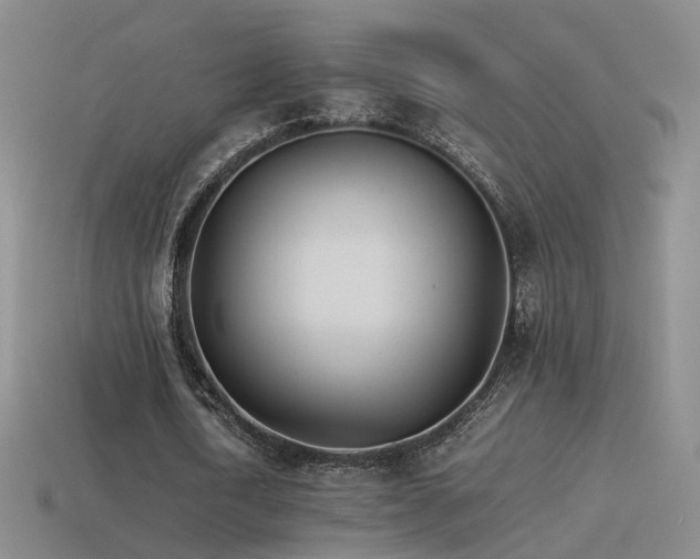 X0000115500722200911061327