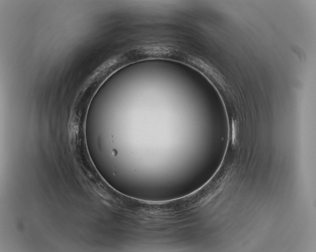 X0000115500723200911061327