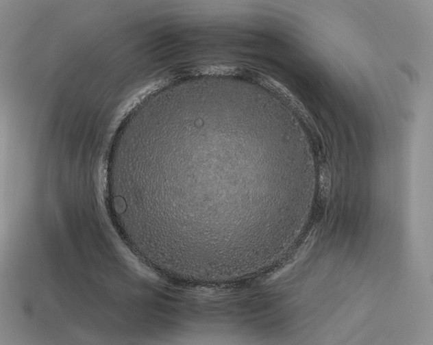 X0000115500725200911061327