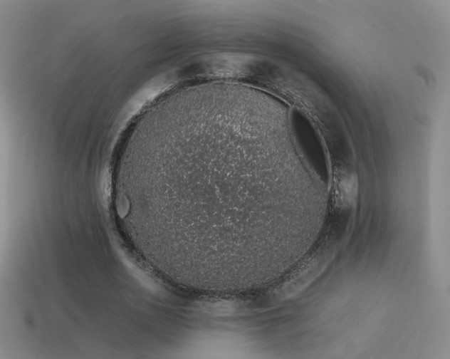 X0000115500726200911061327