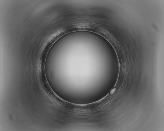 X0000115500727200911061327
