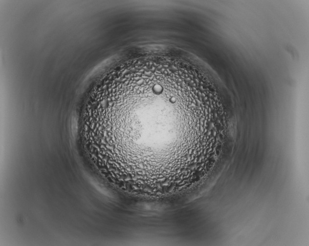 X0000115500733200911061327