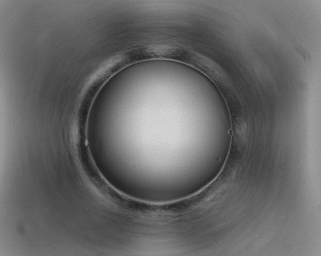 X0000115500734200911061327