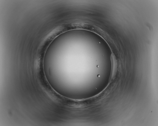 X0000115500735200911061327