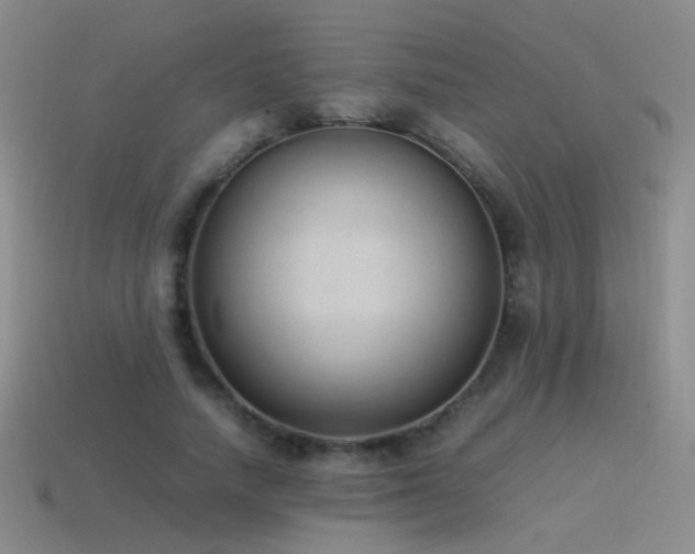 X0000115500738200911061327
