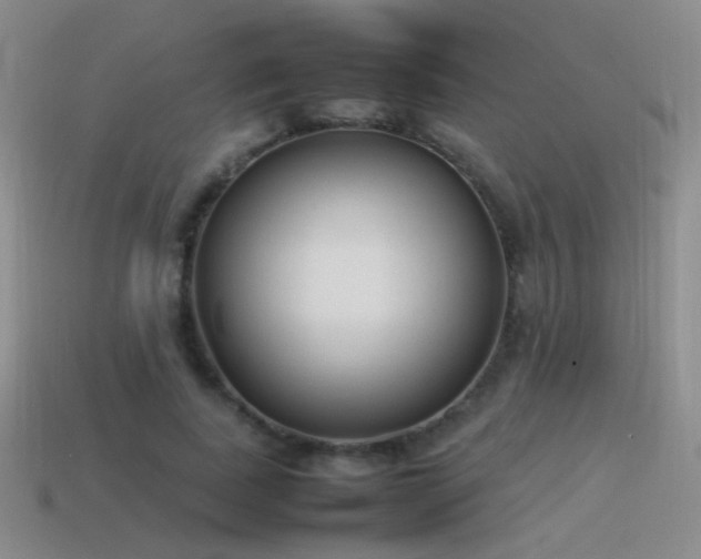X0000115500739200911061327