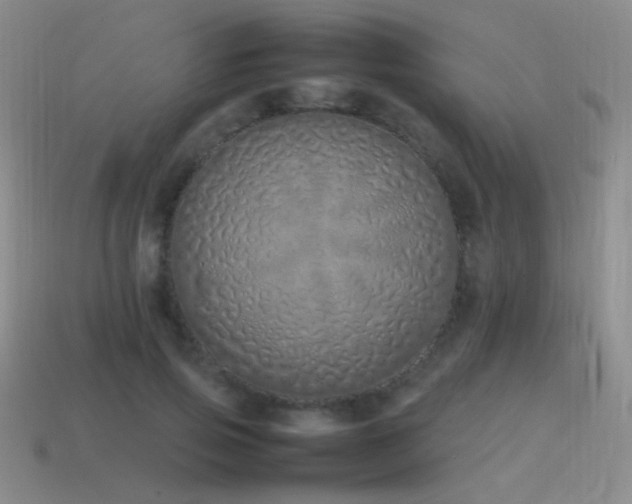 X0000115500741200911061327