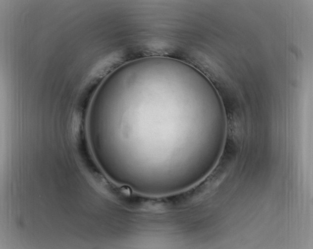 X0000115500742200911061327