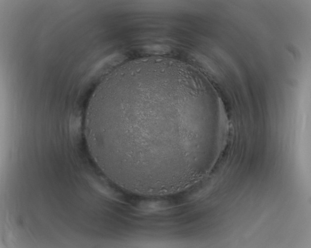 X0000115500745200911061327