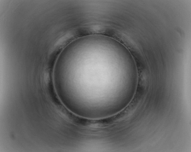 X0000115500746200911061327