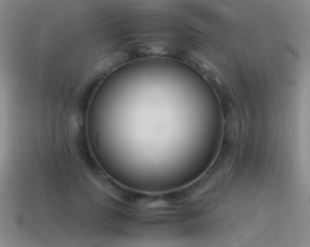 X0000115500747200911061327