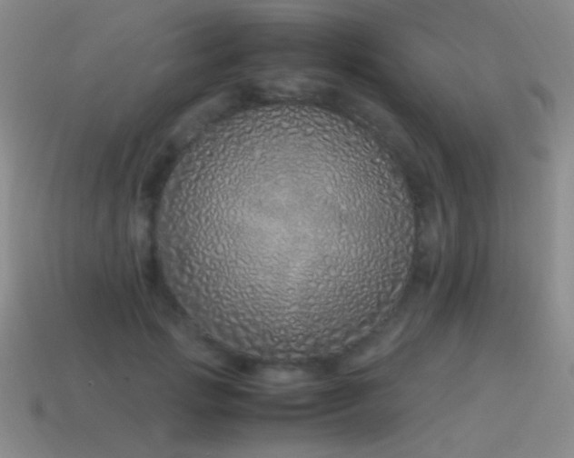 X0000115500749200911061327