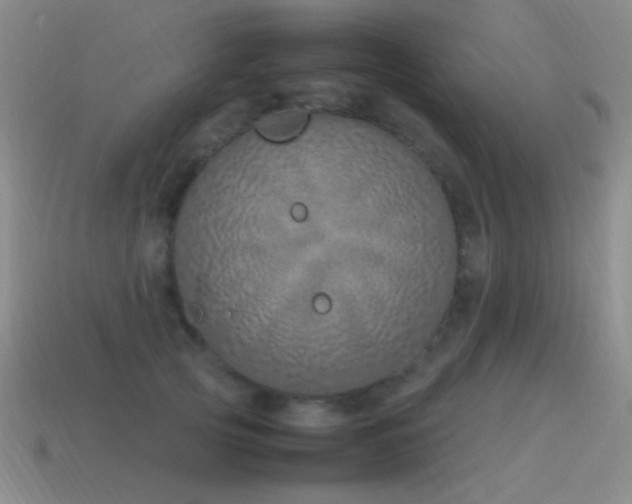 X0000115500753200911061327