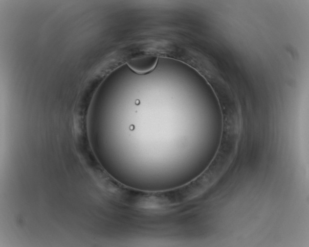 X0000115500755200911061327