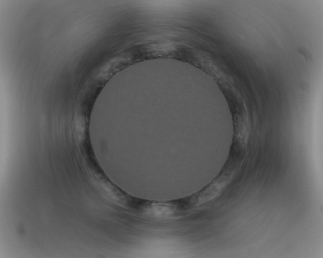 X0000115500758200911061327