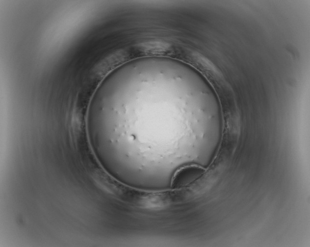 X0000115500761200911061327