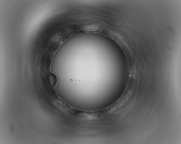 X0000115500763200911061327