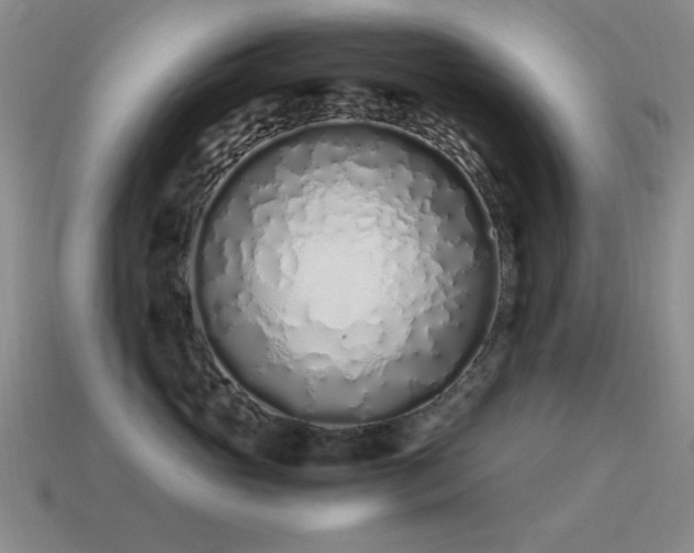 X0000115500765200911061327