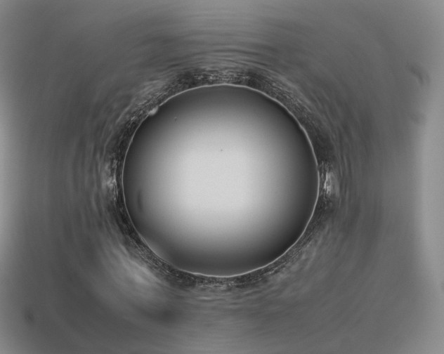 X0000115500771200911061327
