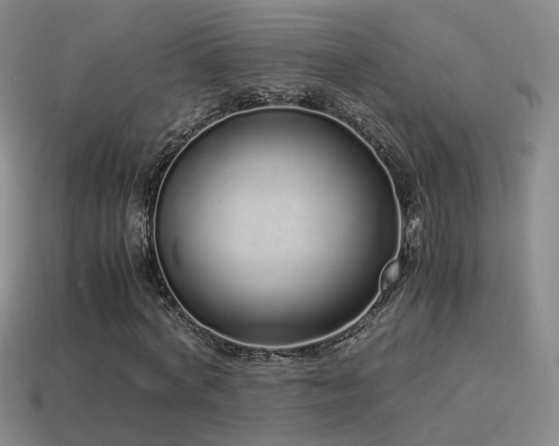 X0000115500772200911061326