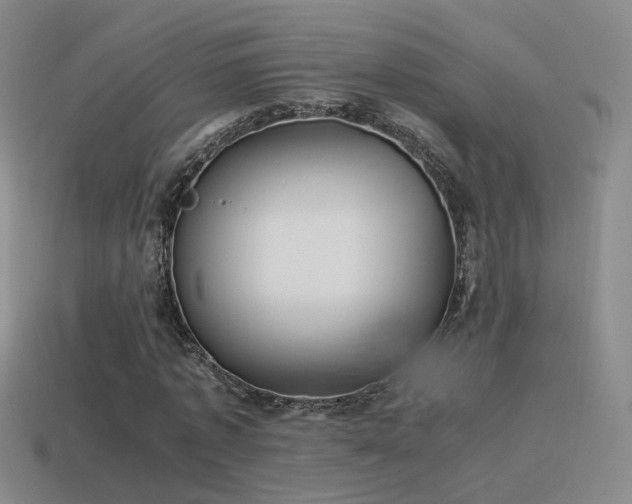 X0000115500773200911061326