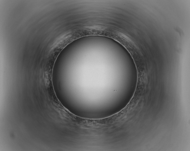X0000115500774200911061326