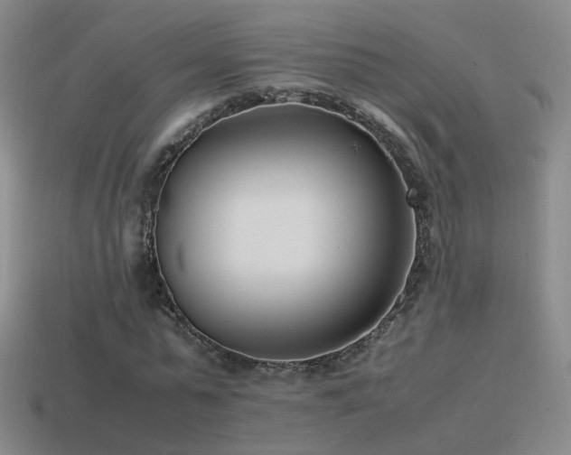 X0000115500775200911061326
