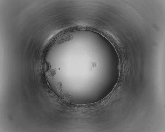 X0000115500776200911061326