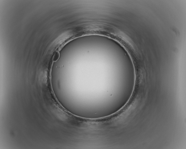 X0000115500777200911061326