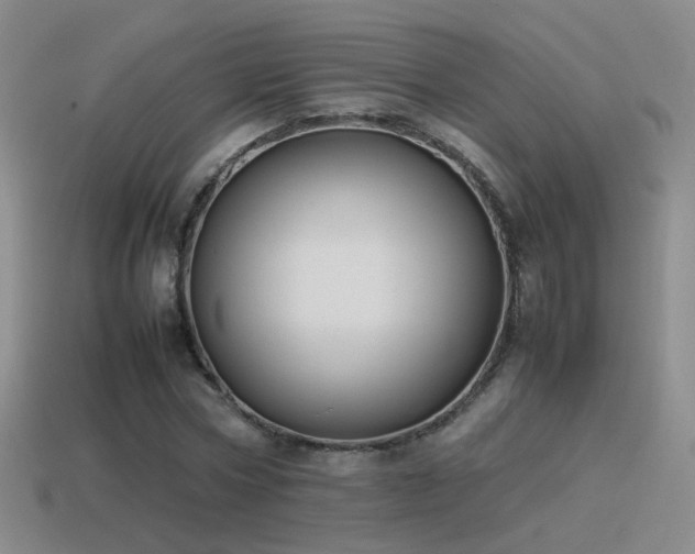 X0000115500778200911061326