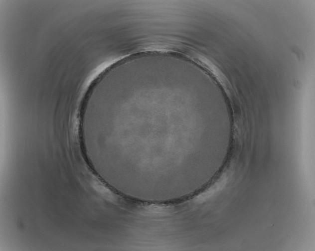 X0000115500779200911061326