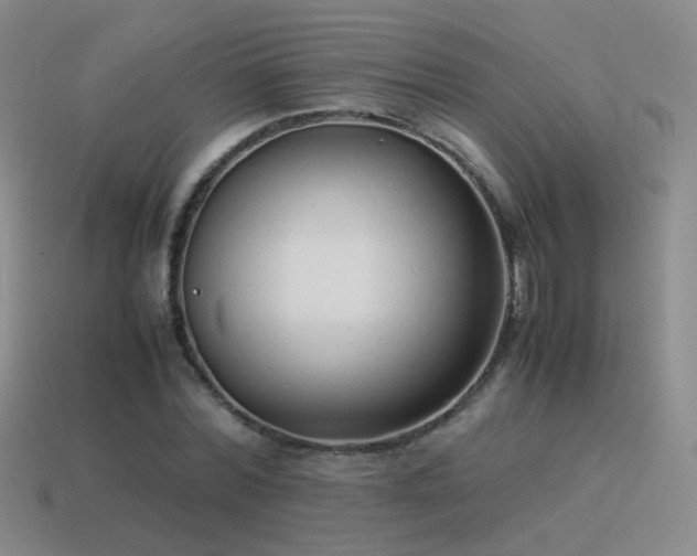 X0000115500780200911061326