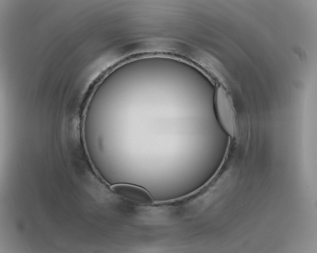 X0000115500781200911061326