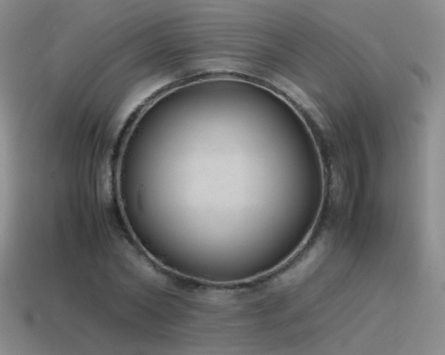 X0000115500782200911061326
