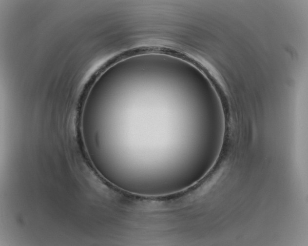 X0000115500783200911061326