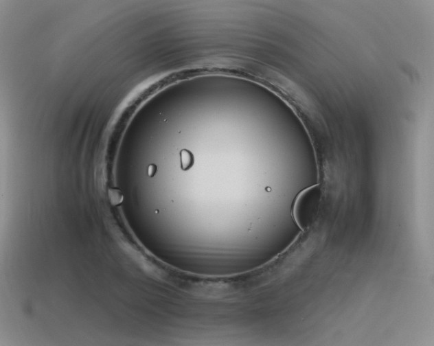 X0000115500784200911061326