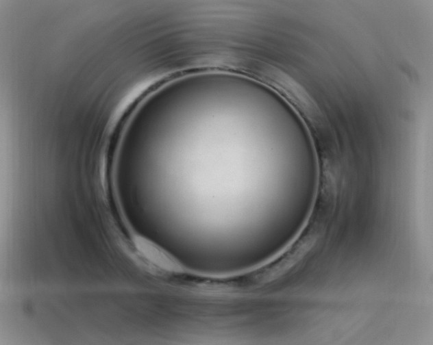 X0000115500788200911061326