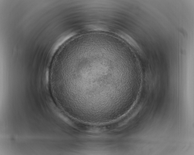 X0000115500790200911061326