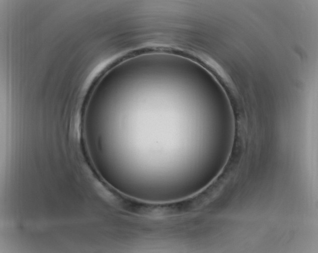 X0000115500791200911061326