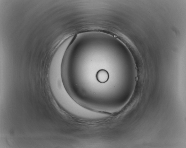 X0000115500793200911061326