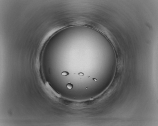 X0000115500795200911061326