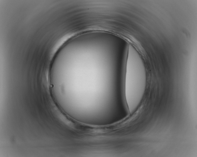 X0000115500796200911061326