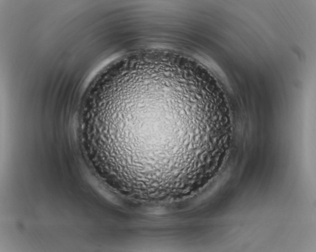 X0000115500798200911061326