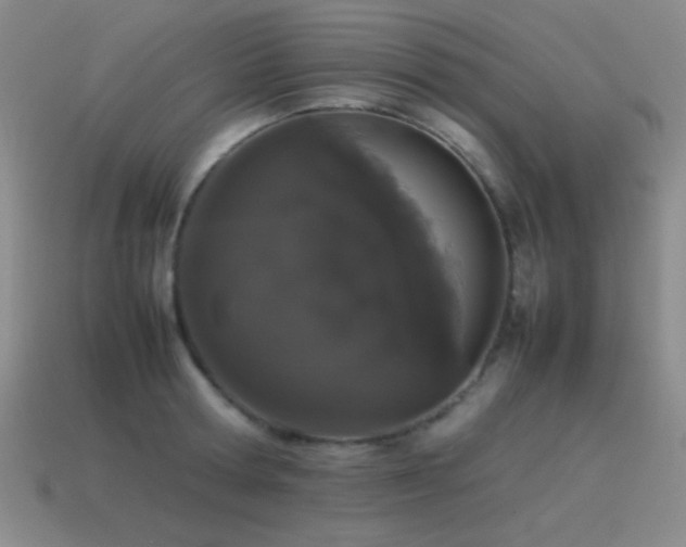 X0000115500802200911061326