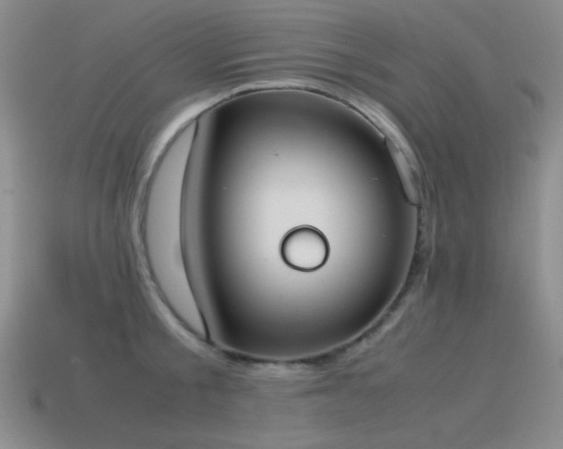 X0000115500805200911061326
