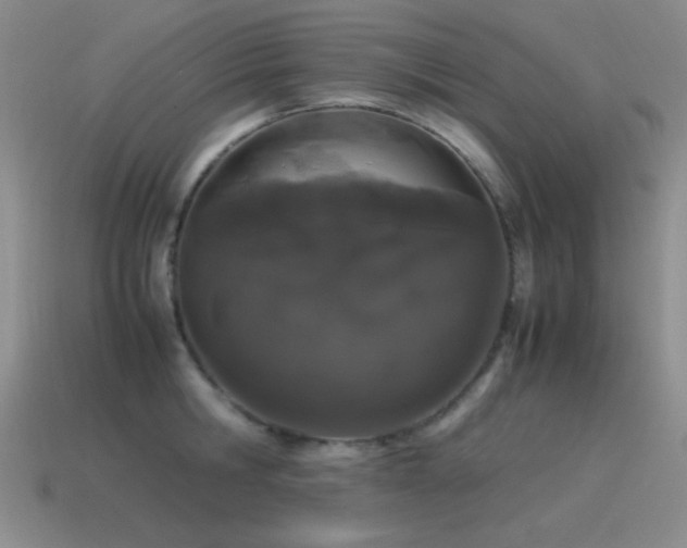 X0000115500806200911061326