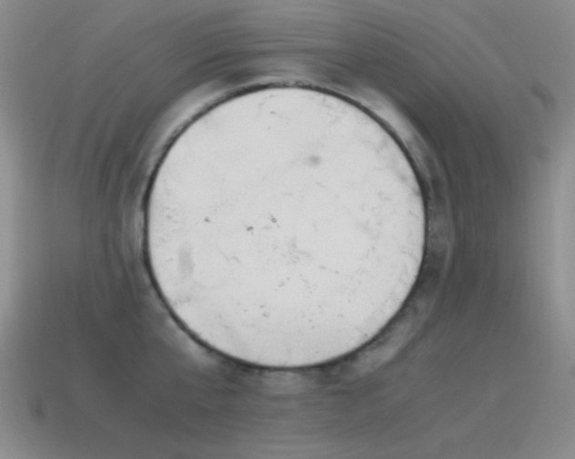 X0000115500807200911061326