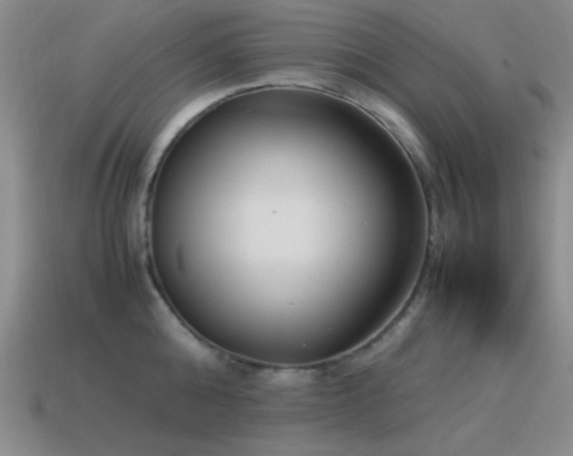 X0000115500808200911061326